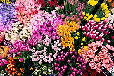 《明末：渊虚之羽》正式发售 Steam在线人数破十万